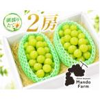 静岡産 高糖度シャインマスカット 2房 約1kg
