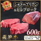 飛騨牛 シャトーブリアン&ヒレブロック