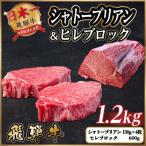 飛騨牛 シャトーブリアン&ヒレブロック