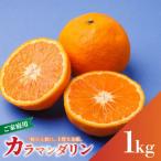 南津海 カラマンダリン約1kg 訳あり