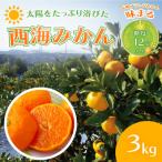 西海みかん 味まる 3kg
