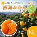 西海みかん 味まる 10kg