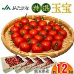 特選 ミニトマト 玉宝 約12kg