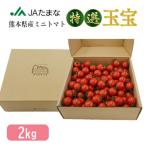 ミニトマト ダイヤ 2kg
