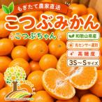 ちっちゃな有田みかん 3S~S 約5kg
