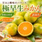 こだわりの極早生みかん 約7.5kg