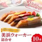 美浜ウォーカー 10本入