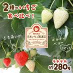 2種食べ比べのとちあいか ミルキーベリーのセット
