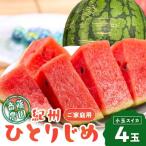 紀州ひとりじめ 小玉スイカ 4玉
