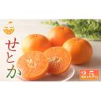中島産 せとか 2.5kg
