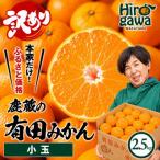 小さな有田みかん 2.5kg+250g