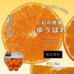 ゆうばれ 約3kg