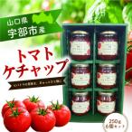トマトケチャップ250g×6個セット