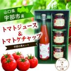 トマトジュース500ml×1本 トマトケチャップ250g×3個セット
