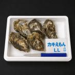 fu.... налог толщина . блок [ сырой еда для ][ устрица ...]LL размер ×5 шт Hokkaido толщина . блок производство . есть ..( устрица нож есть )