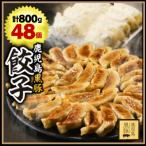鹿児島黒豚 餃子800g 48個