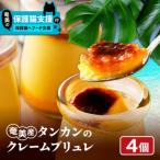 +奄美産タンカンのクレームブリュレ 4個入り