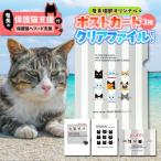ポストカード&amp;クリアファイルセット
