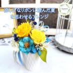 プリザーブドフラワーアレンジ シュガーパイン
