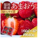 うるう農園のあまおう MLサイズ 約160g×4パック