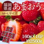 うるう農園のあまおう MLサイズ 約160g×16パック