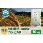 令和8年産 特別栽培 コシヒカリ 10kg
