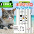 ポストカード&クリアファイルセット