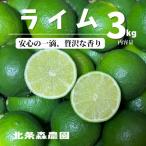 超貴重 希少 ライム3kg