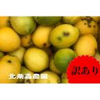 もりのしずくれもん 3kg
