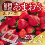 うるう農園のあまおう 2Lサイズ 約220g×2パック