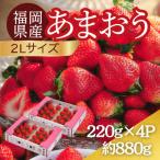 うるう農園のあまおう 2Lサイズ 約220g×4パック