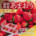 うるう農園のあまおう 2Lサイズ 約220g×6パック