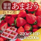 うるう農園のあまおう 2Lサイズ 約220g×10パック