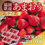 うるう農園のあまおう 2Lサイズ 約220g×8パック