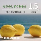 もりのしずくれもん レモン 1.5kg