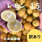 訳ありレモン 1.5kg