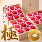あまおう至極EX等級赤 約900g
