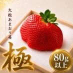 あまおう 極 特大粒 1粒