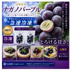 ナガノパープル ARTLOCK FRUITS 100g×2P