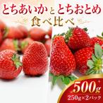 とちおとめ とちあいか 食べ比べセット 500g