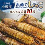 小樽産 浜茹でしゃこ オス5尾×1パック