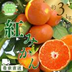 みかん ゆうばれ 約3kg