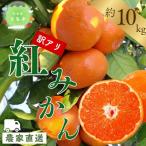 訳あり 温州みかん 約 10kg