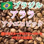 自家焙煎珈琲 ドリップバッグコーヒー ブラジル