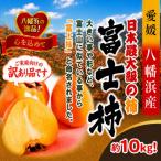 甘さにニッコリ なめらか食感 日本最大級の柿