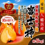 甘さにニッコリ なめらか食感 日本最大級の柿