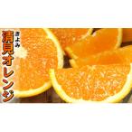 清見オレンジ 有田産 サイズ混合 ご