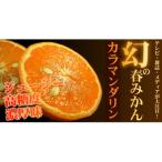 カラマンダリン 有田産 春みかん サイズ混合