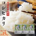 新米 先行受付 コシヒカリ 精米 15kg
