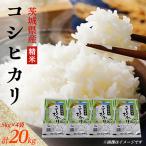 新米 先行受付 コシヒカリ 精米 20kg